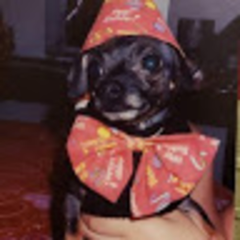 Meet your Posher, Areli